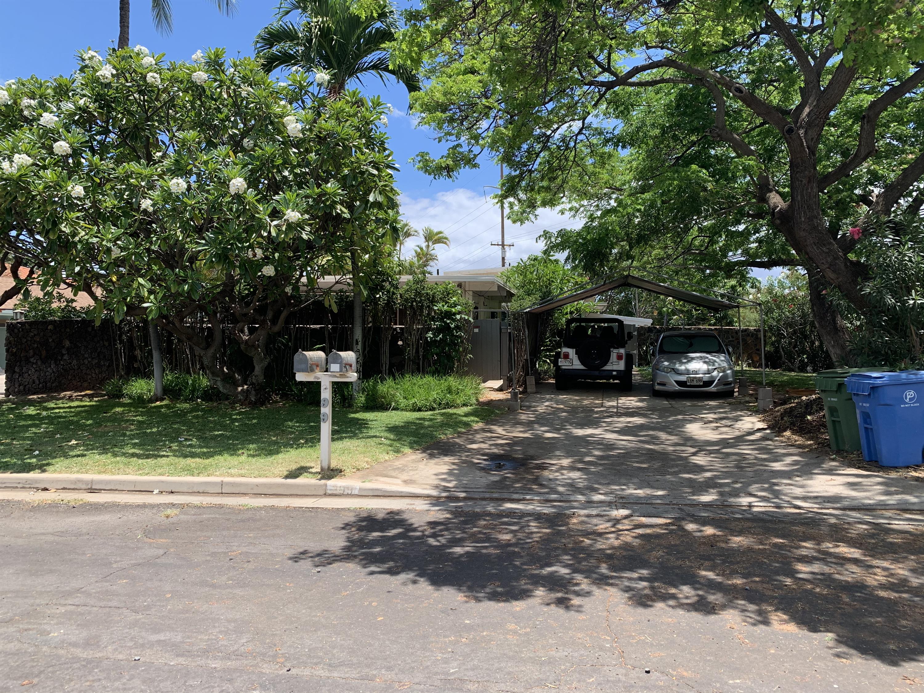 299 Keonekai Road - 2